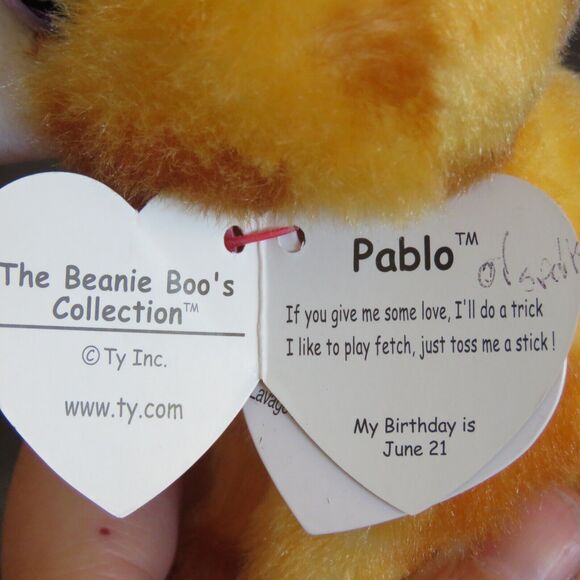 TY Beanie Boos Pablo Chihuahua Dog 6" Plush Stuffed Animal Glitter Eyes RETIRED - Picture 12 of 16